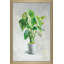 «Greenhouse Palm I», reproduction d'art-697513640-697513653