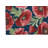 Poppie Soft Step Outdoor Area Rug-885686408-885686412