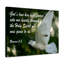 God's Love Psalm 103:8 - Wrapped Canvas Print-733802039