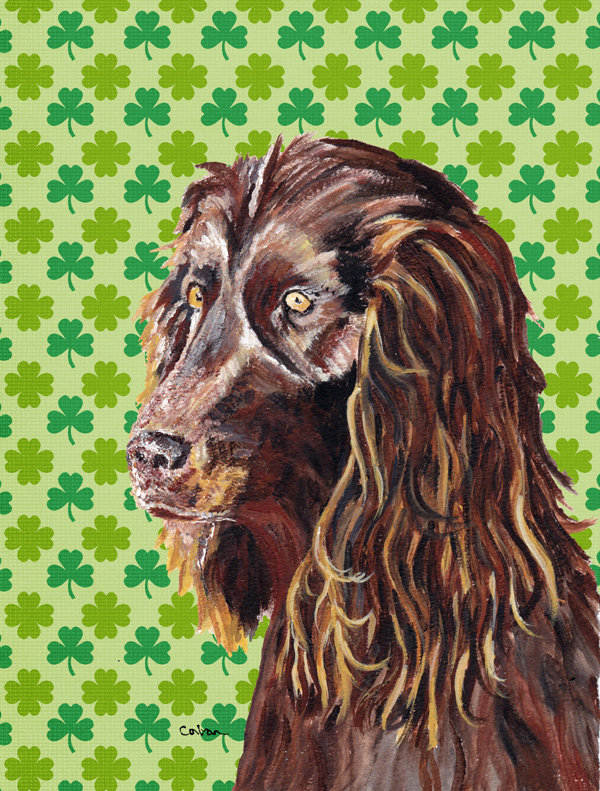 Drapeau de jardin à 2 côtés st. patrick day trèfle, Épagneul Boykin