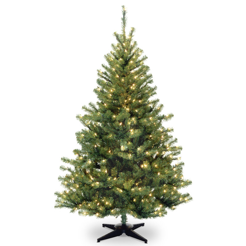 6ft. Kincaid Spruce Tree with Clear Lights