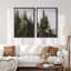 Evergreen Whisper, majestueux, pins, forêt, sérénité, nature, désert, illustrations, décor rustique-101752493-101752492