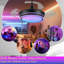 Ventilateur lustre en cristal 30 "Rgb-1835309188