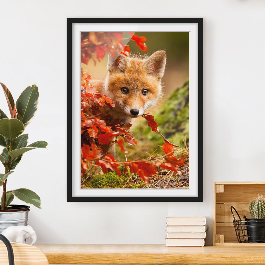 Gerahmtes Papierbild Fuchs im Herbst