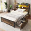 Storage Bed-1391353082