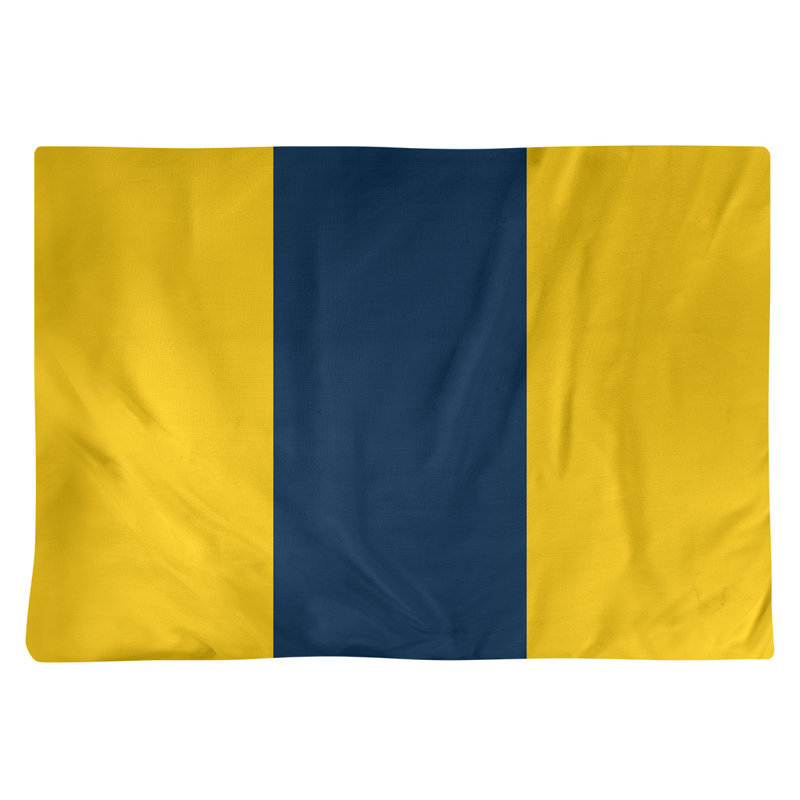 Récapitulatif de 18 po Michigan, Jaune / Bleu moyen, Sergé de coton