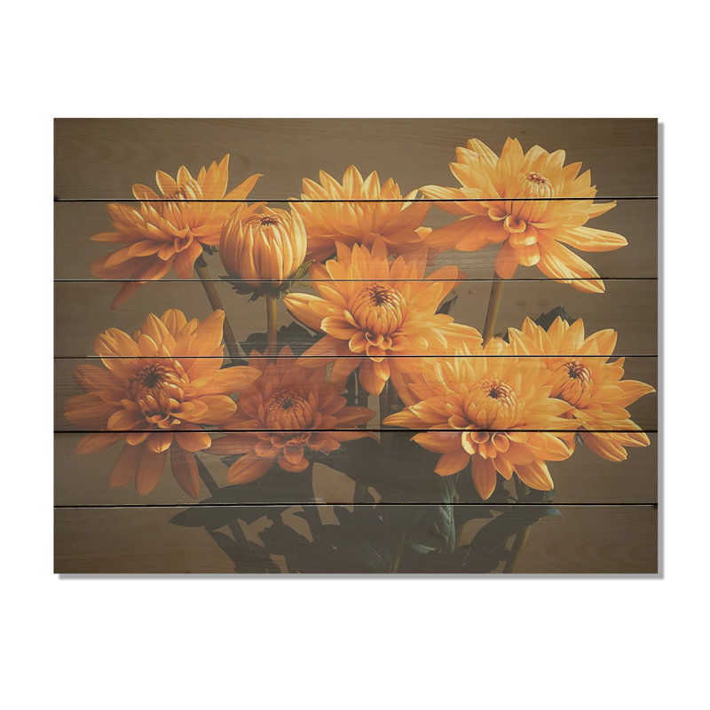 «Chrysanthemums Sunrise Field In Morning I», art mural sur bois de pin naturel, H 10 po x l 20 po
