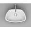 Unique 20.1'' L Bathroom Sink-16505485