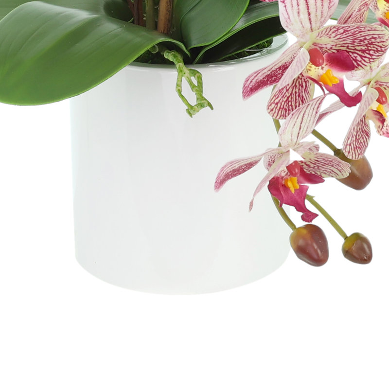 Modern Orchid Arrangement in Round Fiberstone Pot, Pink