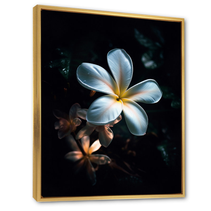 Blanc et noir exotique Plumeria Bloom III, 40" H x 30" W, Cadre flottant doré