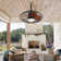 Mistkowski 20" 5 ABS Blades Small Caged Ceiling Fan with LED Lights