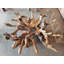 Table basse en bois massif-1615293286