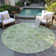Machine Washable Indoor/Outdoor Xhevrie Aloe Rug