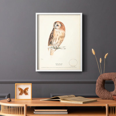 Reproduction encadrée Tawny Owl - bois massif