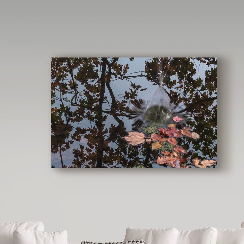 «Acorn Falling Into Pond With Tree Reflections», reproduction de photo sur toile tendue, H 12 po x l 19 po x P 2 po
