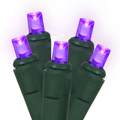 Lumières de Noël à DEL grand angle