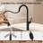 Pull Down Single Handle Kitchen Faucet with Dual Function-125426492