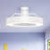 Lafleur 23'' Ceiling Fan with LED Lights