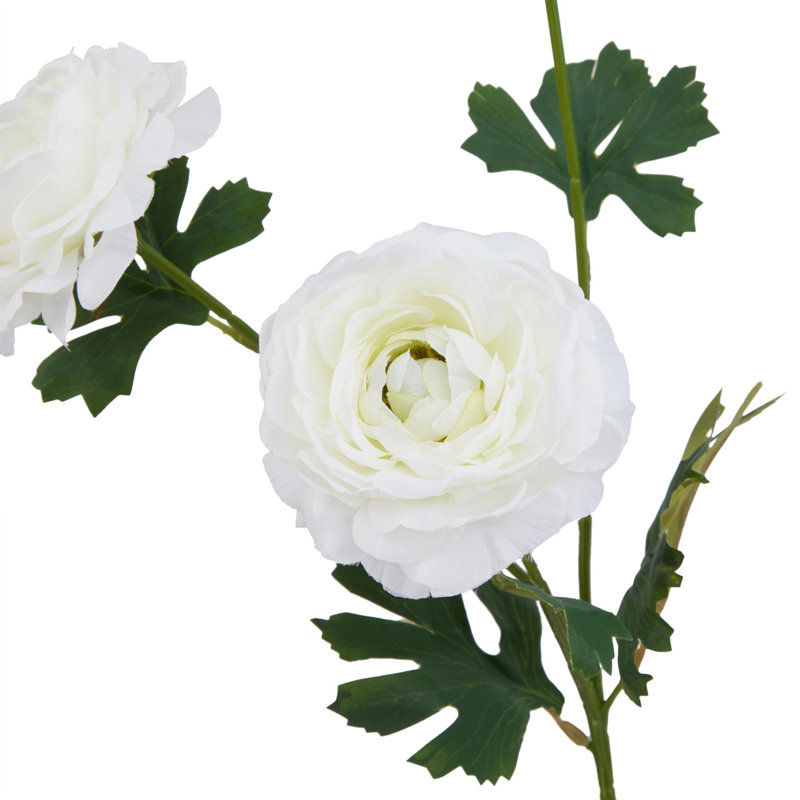 Arrangement