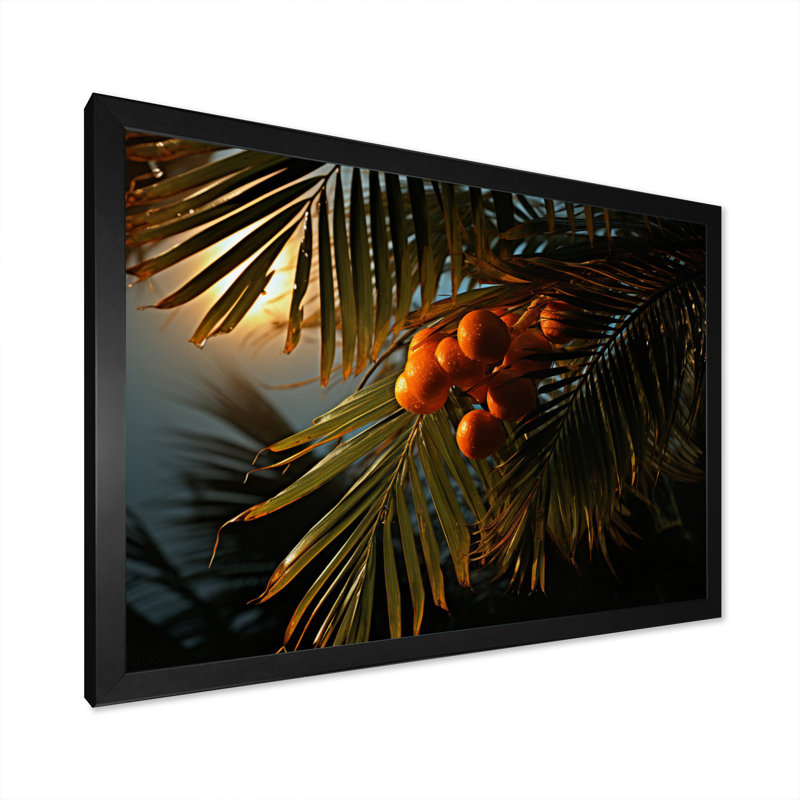 " Palm Trees Palm I ", 12" H x 20" W x 1" D, Black Picture Framed
