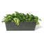 Valencia Composite Planter Box-1508185208-1508185209