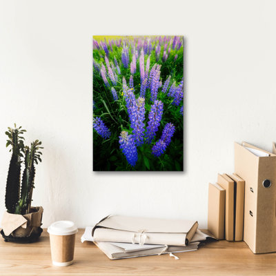 'Lupines' by Rick Berk Canvas Wall Art