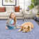 Braided Printed Texture Machine Washable Rug with Rubber Backing for Living Room Non-Slip Dining Room Rug Easy-Cleaning Floor Carpet for Bedroom