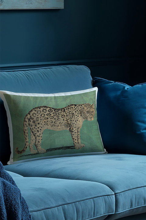 Indoor Accent Pillows