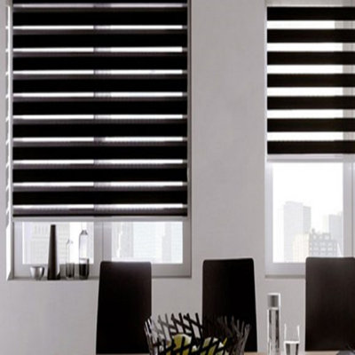 Zebra Roller Blinds, Day and Night Dual Layer Window Shades, Adjustable Light Control, Modern Privacy Blinds