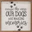 Our Dogs Are Making Memories Paws-576442174