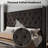 Duluth Upholstered Wingback Bed-70787450-70787451