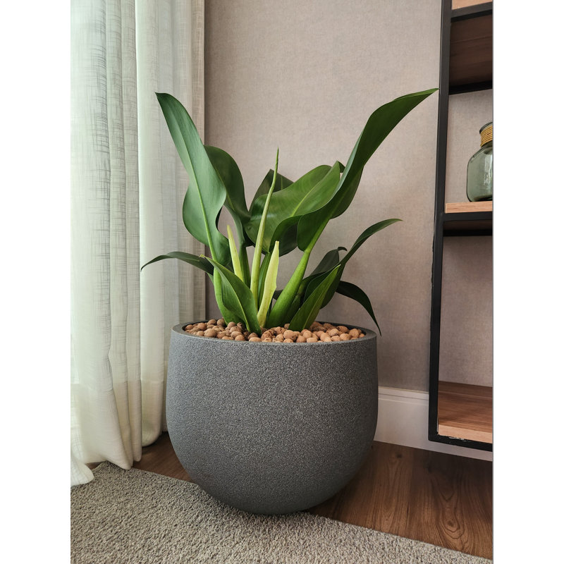Ebern Designs - Jardinière ronde rustique 9 'H, H 16,5 po x l 22,4 po x P 22,4 po