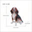 Statue de chien Beagle réaliste, figurine d'animal réaliste en résine pour décoration intérieure et extérieure, cadeau parfait pour les amoureux des animaux de compagnie