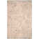 Coyer Performance Oriental Rug