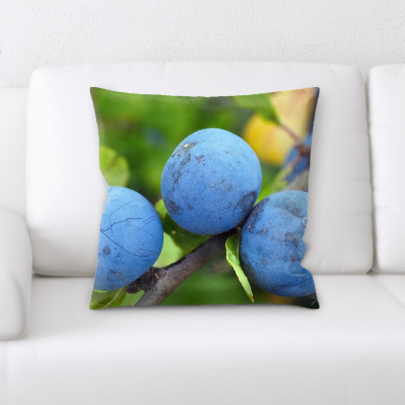 Coussin blackthorn