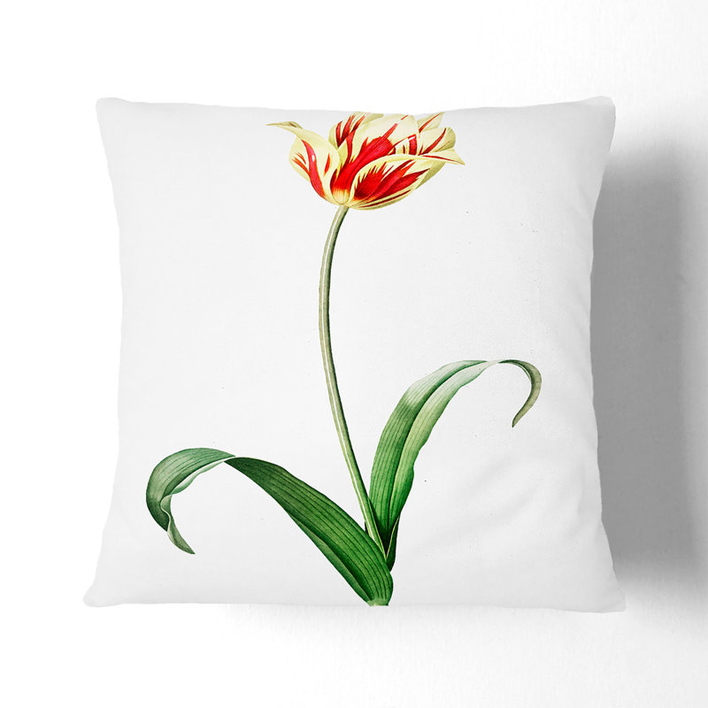 Floral Square Cushion, 55cm H x 55cm W x 20cm D