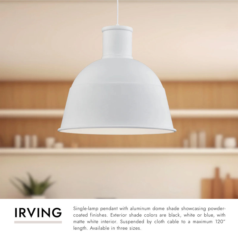 Irving 1 - Light Pendant, Black, 14" H x 16" W x 16" D