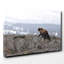 Brown Bear with Cubs Photographic - Wrapped Canvas-19090801