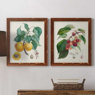 Abricot Peche - ensemble de reproduction d'art sur toile