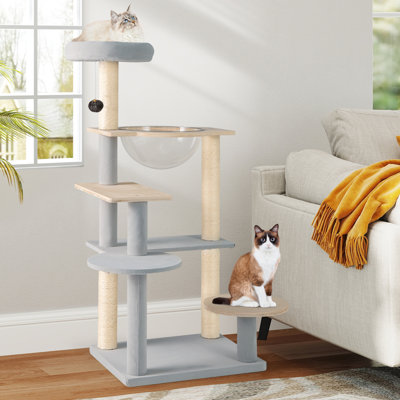 Tour pour chat Modern Cat