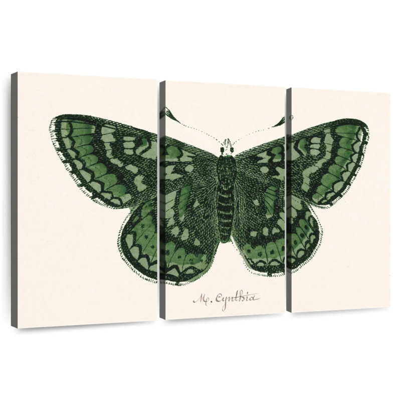 Papillon antique I, H 24 po x l 38 po