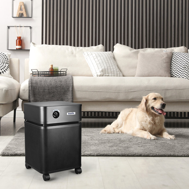 Purificateur d'air Austin Air Healthmate, Noir