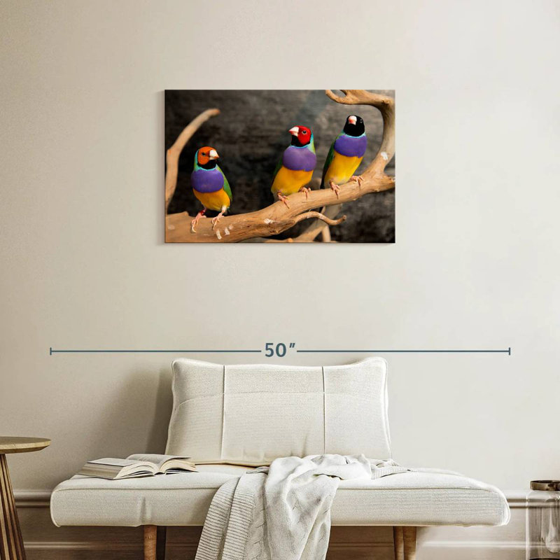 Rainbow Finches, 20" H x 30" W
