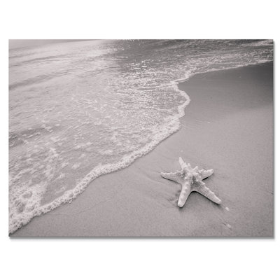 " Black And White Starfish On The Beach "