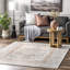 Oriental Area Rug-1628996757