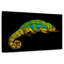 Caméléon Sleeping Panther-1836080067