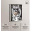 Impression sur toile Frenchie-119992447-123174658