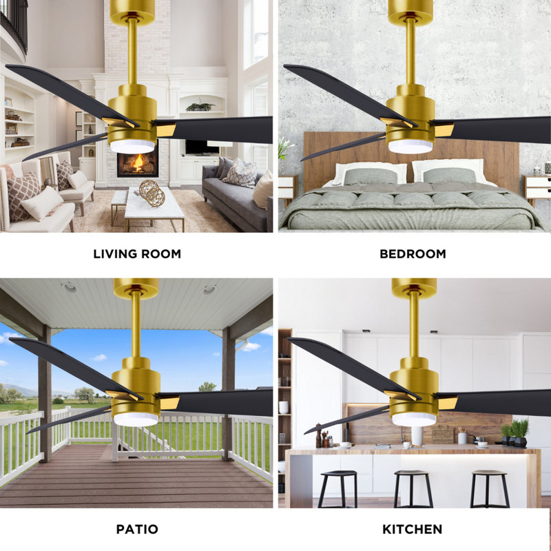 Alessandra - Three Blade Transitional Ceiling Fan -LED, Matte Black, Brushed Brass, 42"