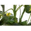 95cm Faux Banana Leaf Plant in Pot