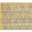 One-of-a-Kind Hand-Knotted High-Quality Area Rug in Gold/Gray